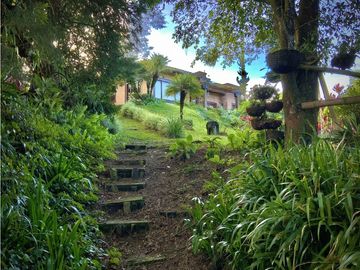 place photo 49