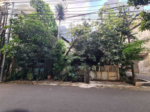 place photo 1