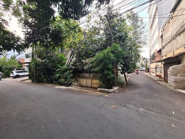 place photo 2