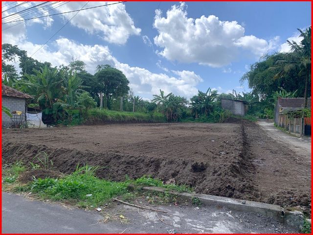 place photo 4