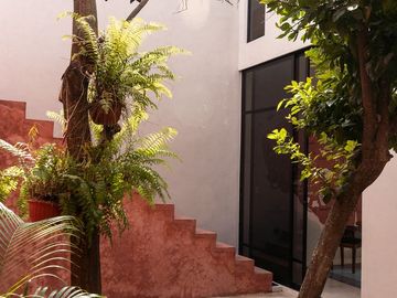 place photo 36