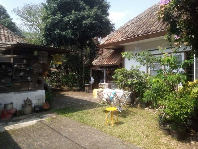 place photo 16