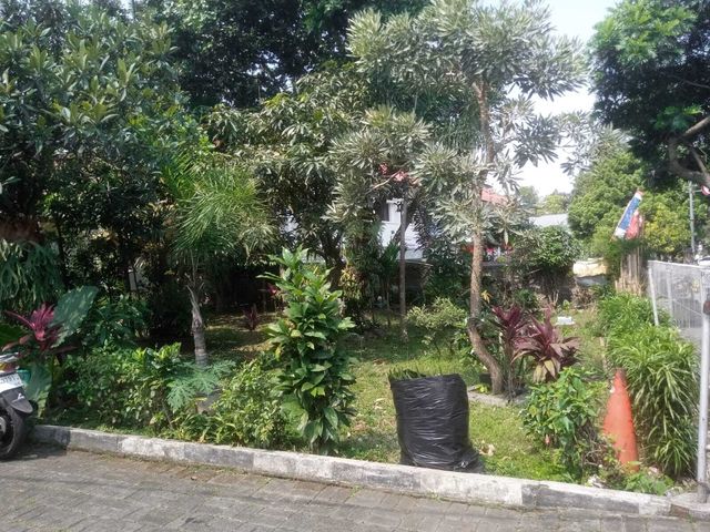 place photo 21