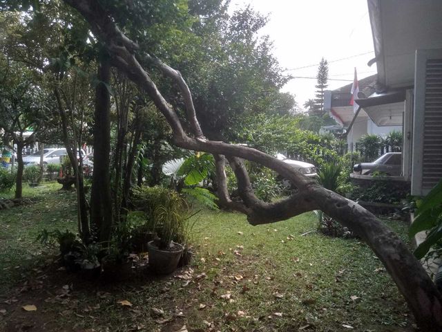 place photo 18
