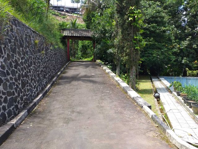 place photo 30