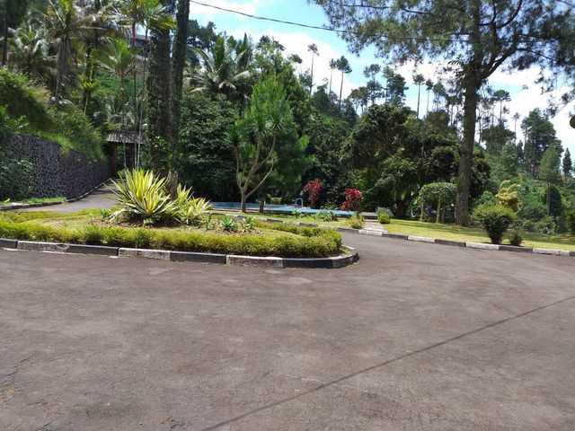 place photo 29
