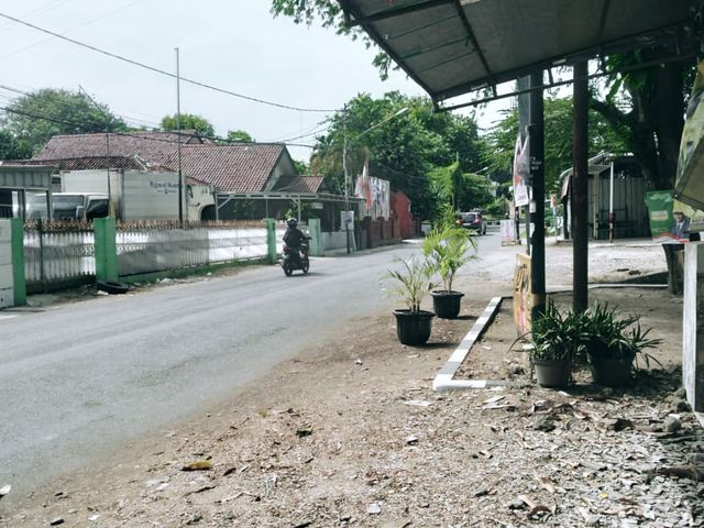 place photo 1
