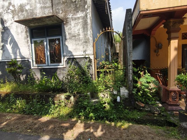 place photo 13