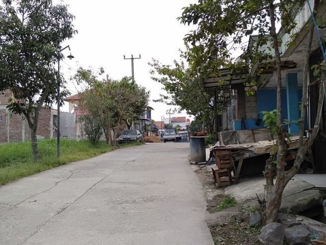 place photo 7