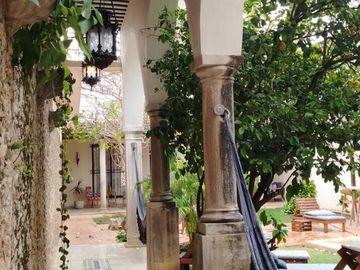 place photo 17