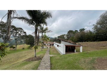 place photo 66