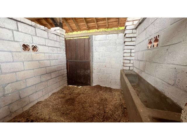 place photo 74
