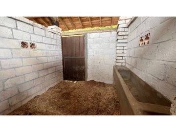 place photo 74