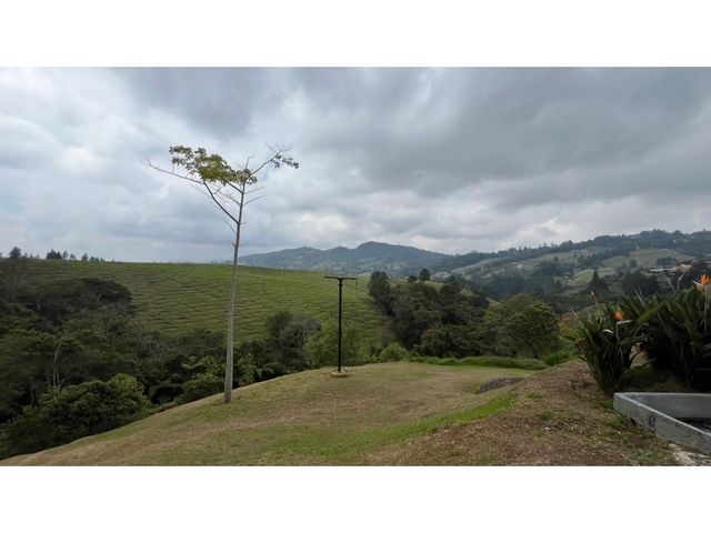 place photo 88