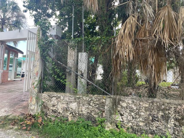 place photo 49