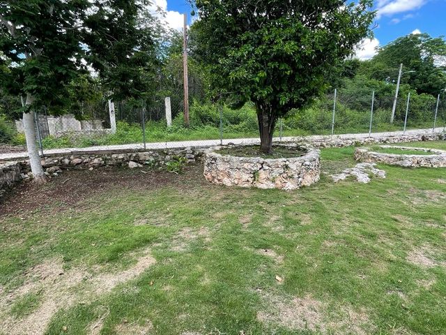 place photo 21
