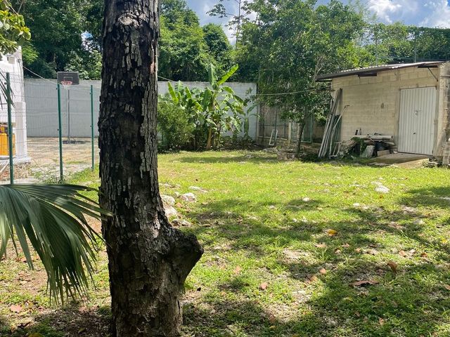 place photo 43