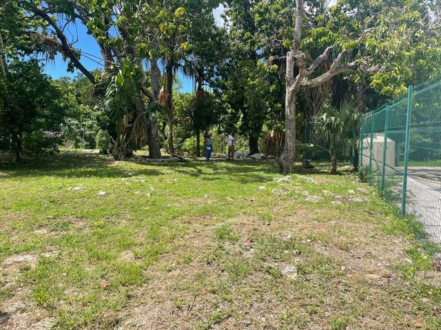 place photo 47