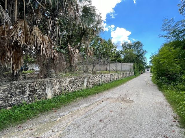 place photo 6