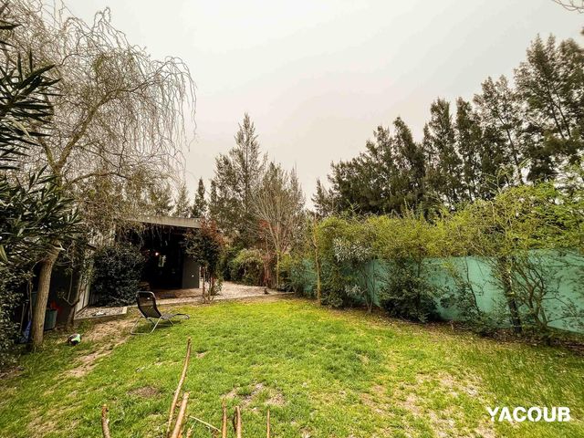 place photo 51