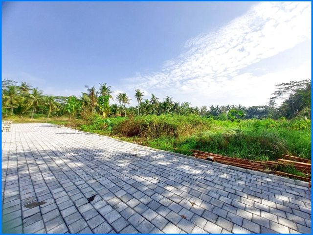 place photo 5