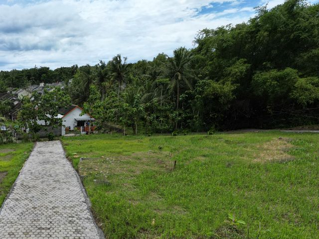 place photo 5