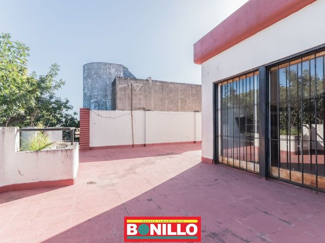 place photo 18