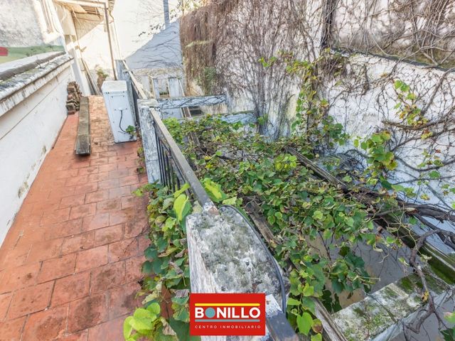 place photo 37