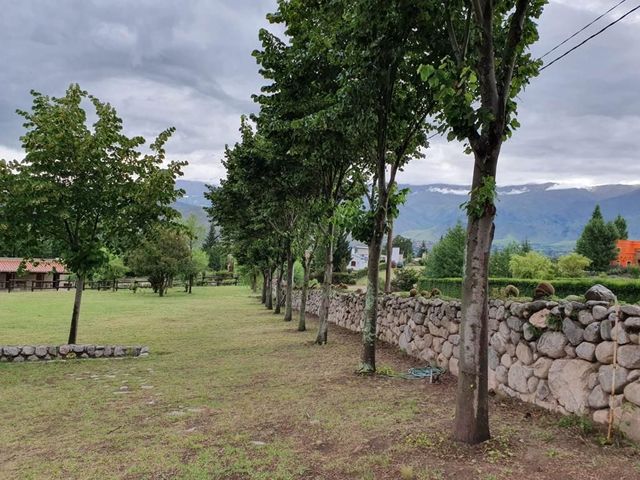 place photo 46