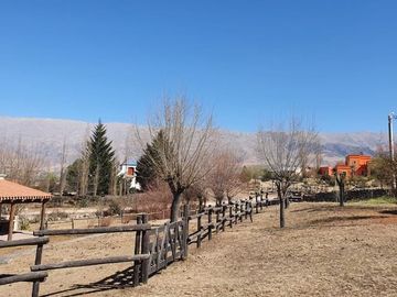 place photo 24