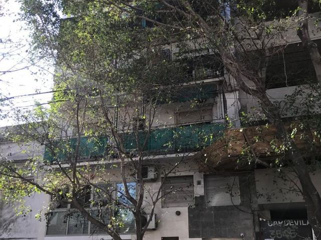place photo 21