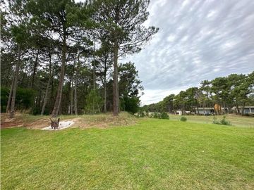 place photo 36