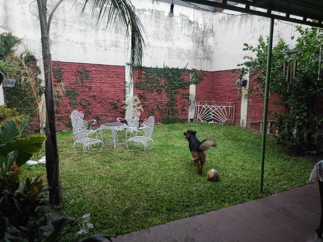place photo 15