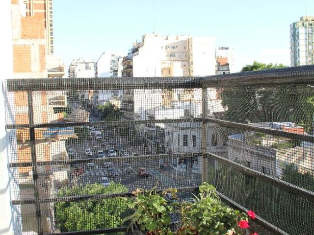 place photo 14