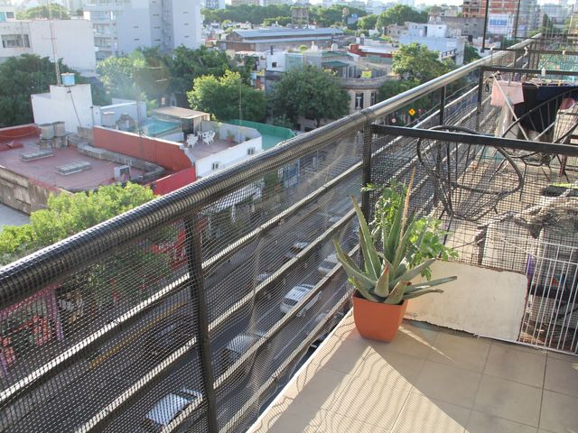 place photo 13