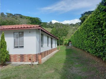 place photo 56
