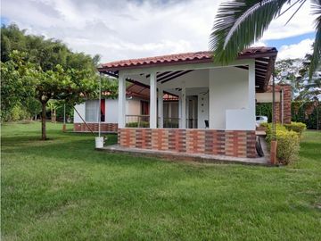 place photo 74