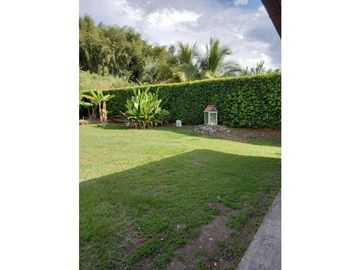 place photo 68