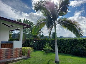 place photo 61