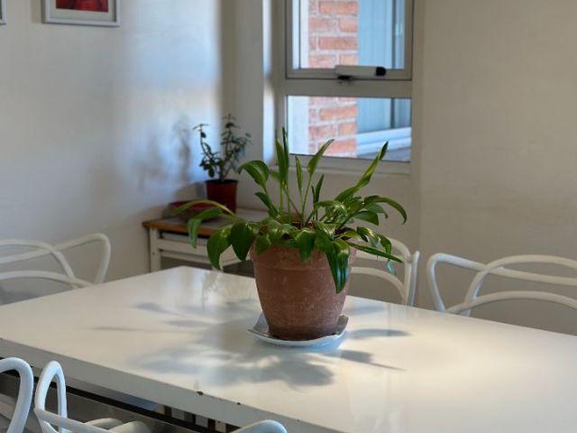 place photo 65