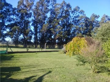 place photo 23