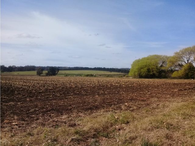 place photo 30