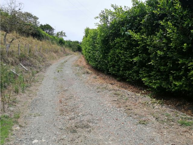place photo 46