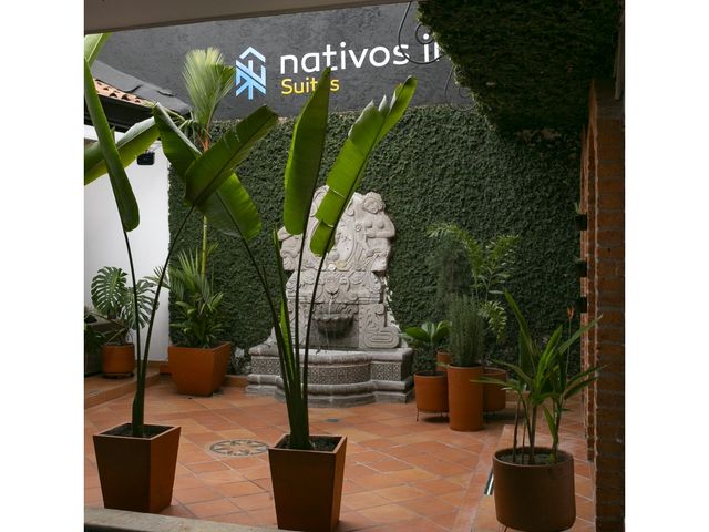 place photo 19