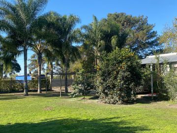 place photo 22