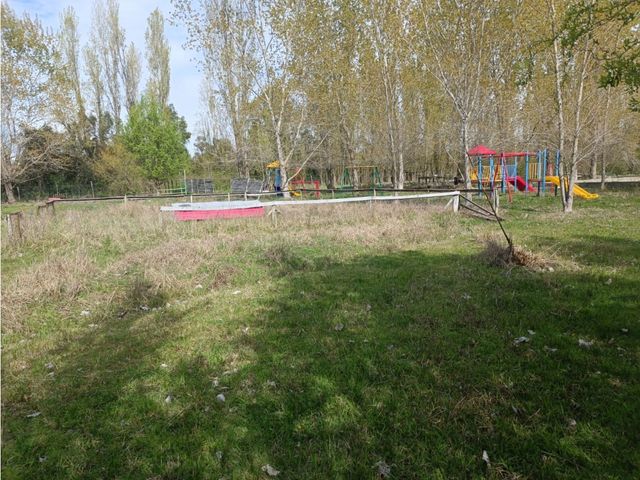 place photo 34