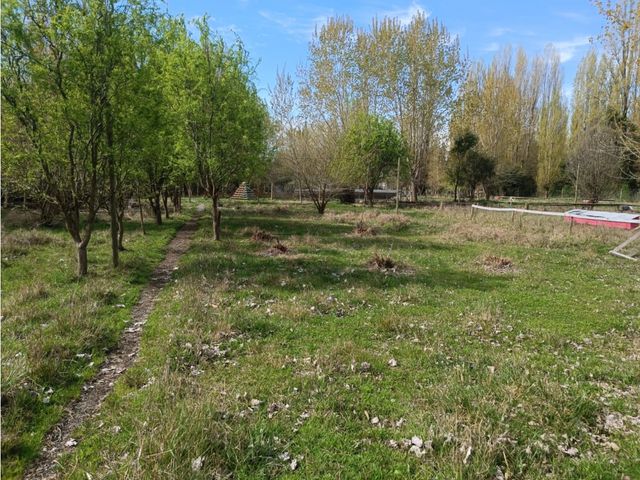 place photo 36