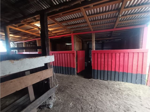 place photo 26