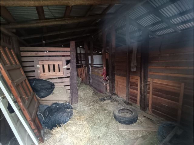 place photo 24