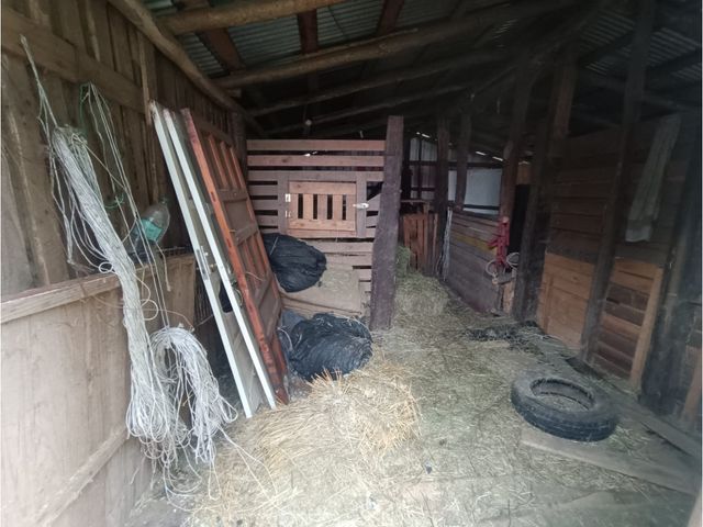 place photo 30
